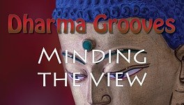 Dharma Grooves: Minding the View
